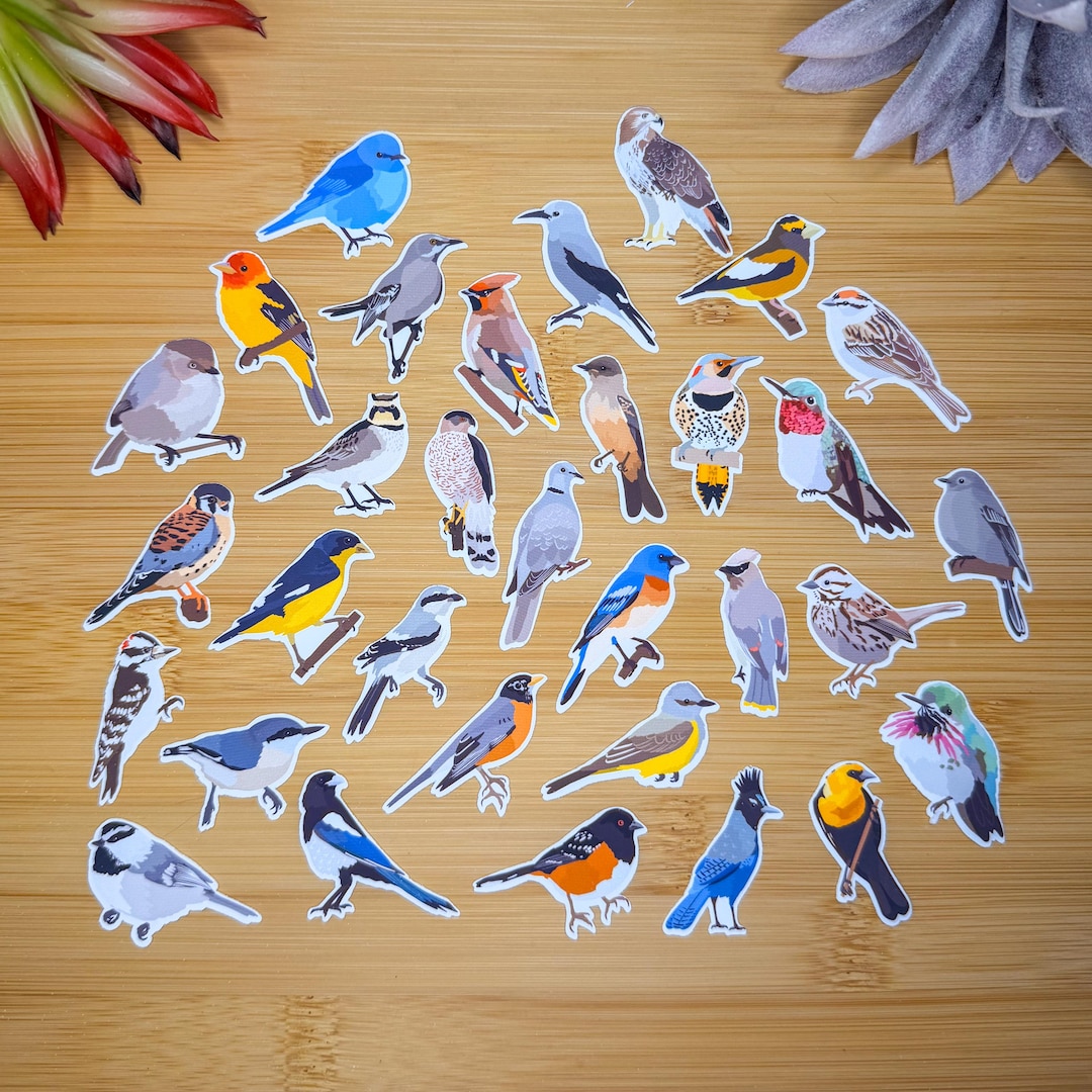 Mountain Backyard Birds Sticker Pack, Mini Bird Sticker Pack, Bird ...