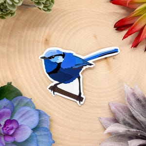 Prächtiger Fairywren-Aufkleber, Prächtiger Fairywren-Aufkleber, Prächtiger Fairywren-Dekor, Prächtiger Fairywren, Prächtiger Fairywren-Vogel,