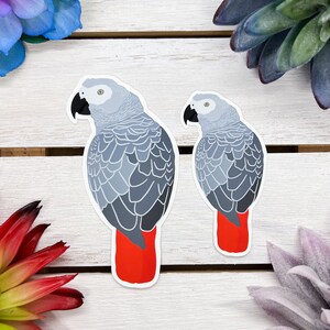 May include: Two grey parrot stickers with red tails. The stickers are on a white wooden surface.