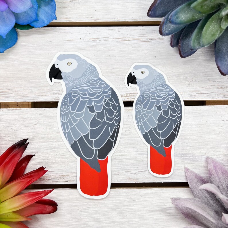 May include: Two grey parrot stickers with red tails. The stickers are on a white wooden surface.