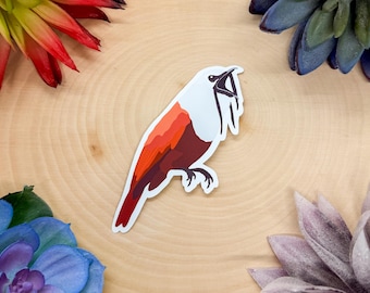 Three Wattled Bellbird Sticker, Three Wattled Bellbird Decal, Birdwatching Sticker, Bird Sticker, Bird Sticker, Birdwatching Gift