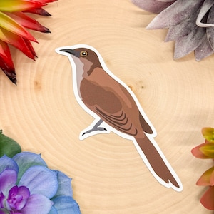 Black Billed Cuckoo Sticker, Black Billed Cuckoo Decal, Cuckoo Bird Gift, Cuckoo Bird Decor, Cuckoo Sticker, Cuckoo Decal