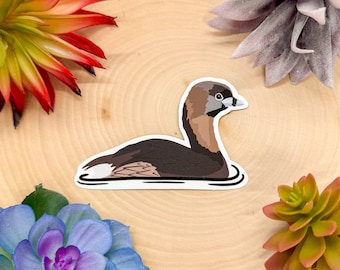 Pied Billed Grebe Sticker, Pied Billed Grebe Decal, Grebe Gift, Grebe Decor, Pied Billed Grebe Bird Sticker, Grebe Bird Decal,