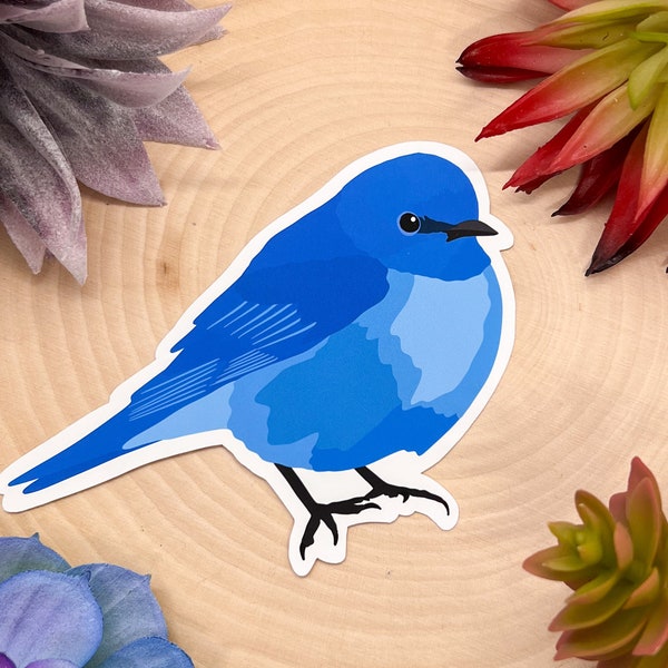 Mountain Bluebird Sticker, Mountain Bluebird Decal, Mountain Bluebird Gift, Mountain Bluebird Decor, Mountain Bluebird Bird,