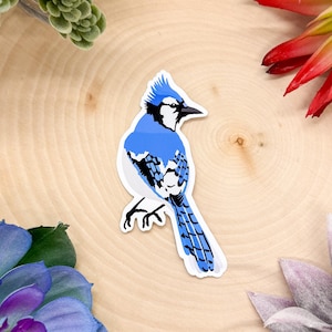 Blue Jay Sticker, Bird Sticker, Birdwatching Sticker, Birding Sticker, Blue Jay Decal, Blue Jay Decor, Blue Jay Gift, Blue Jay Stickers