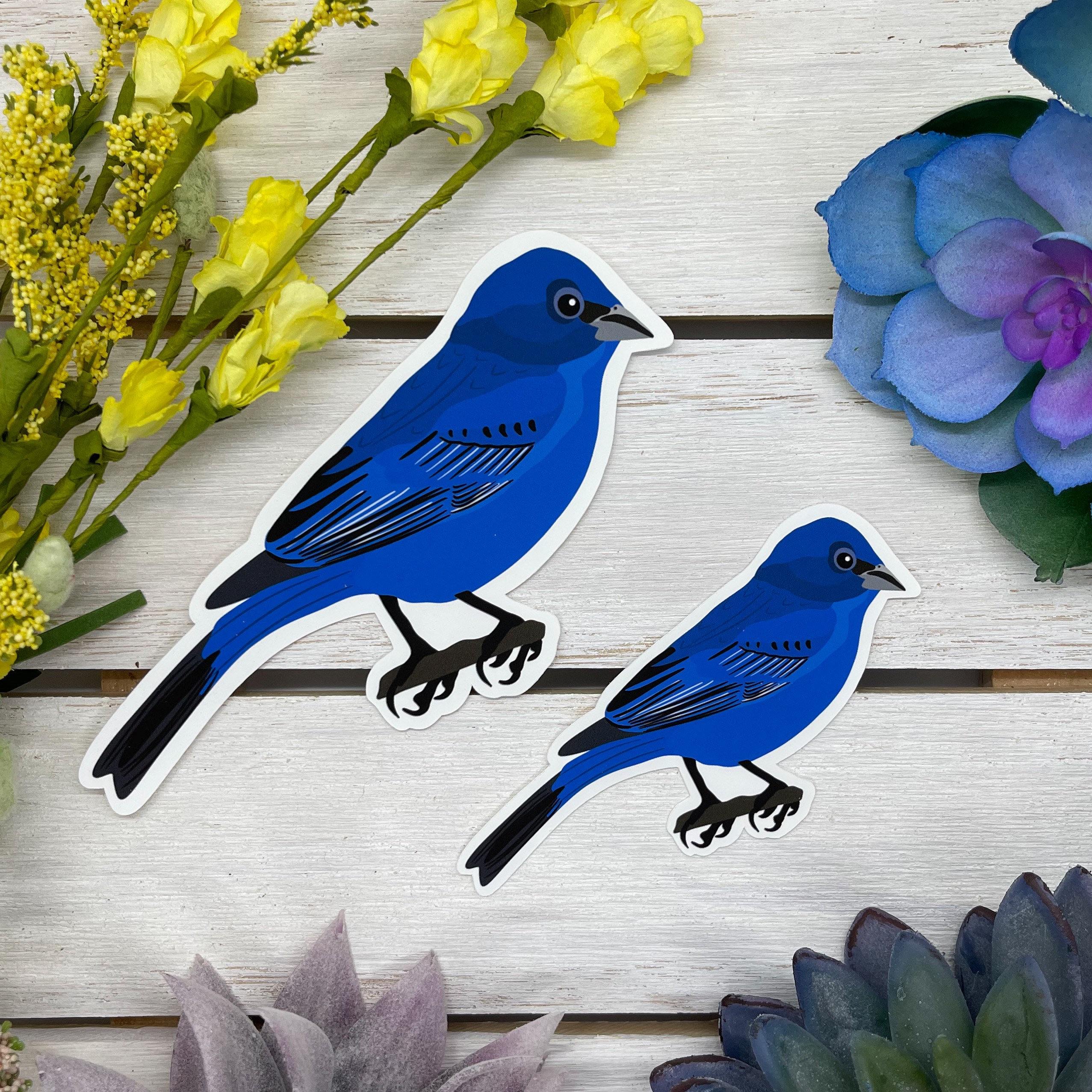 Indigo Bunting Sticker, Indigo Bunting Decal, Indigo Bunting Gift ...