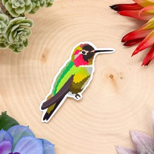 Anna&#39;s Hummingbird Sticker, Anna&#39;s Hummingbird Decal, Anna&#39;s Hummingbird Decor, Anna&#39;s Hummingbird Gift, Anna&#39;s Hummingbird
