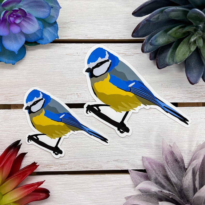 Blue Tit Sticker, Bird Sticker, Birdwatching Sticker, Birding Sticker ...