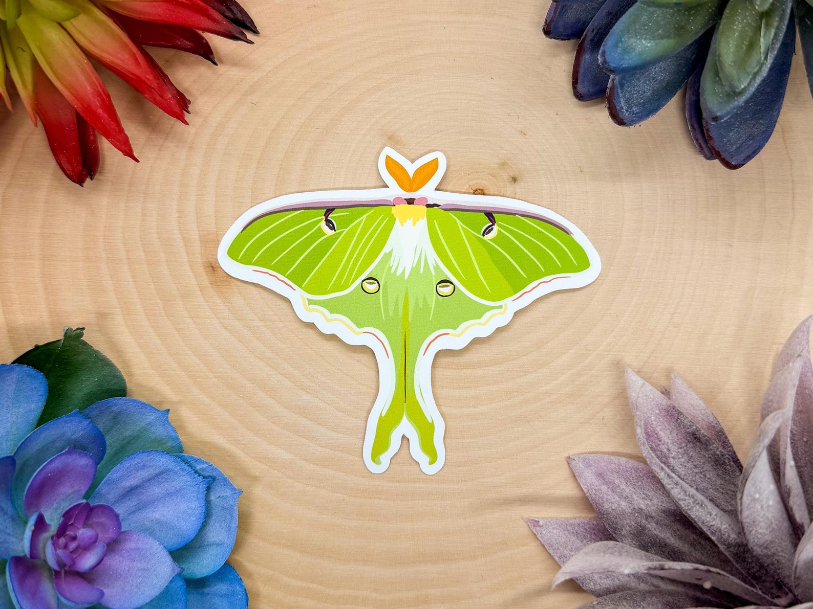 Luna Moth Sticker, Butterfly Sticker, Insect Sticker, Insect Decal ...