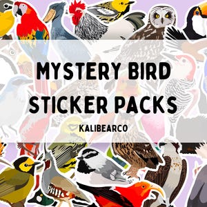 Mystery Bird Sticker Pack of 5, Mystery Bag, Grab Bag, Mystery Sticker Pack, Bird Stickers, Bird Decals, Bird Nerd Gift, Bird Lover Gift