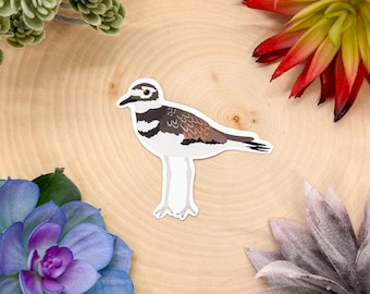 Puede incluir: Una pegatina de un ave Killdeer con rayas marrones y blancas en las alas y un pico largo y delgado. El ave está de pie sobre una superficie de madera con plantas verdes en el fondo.