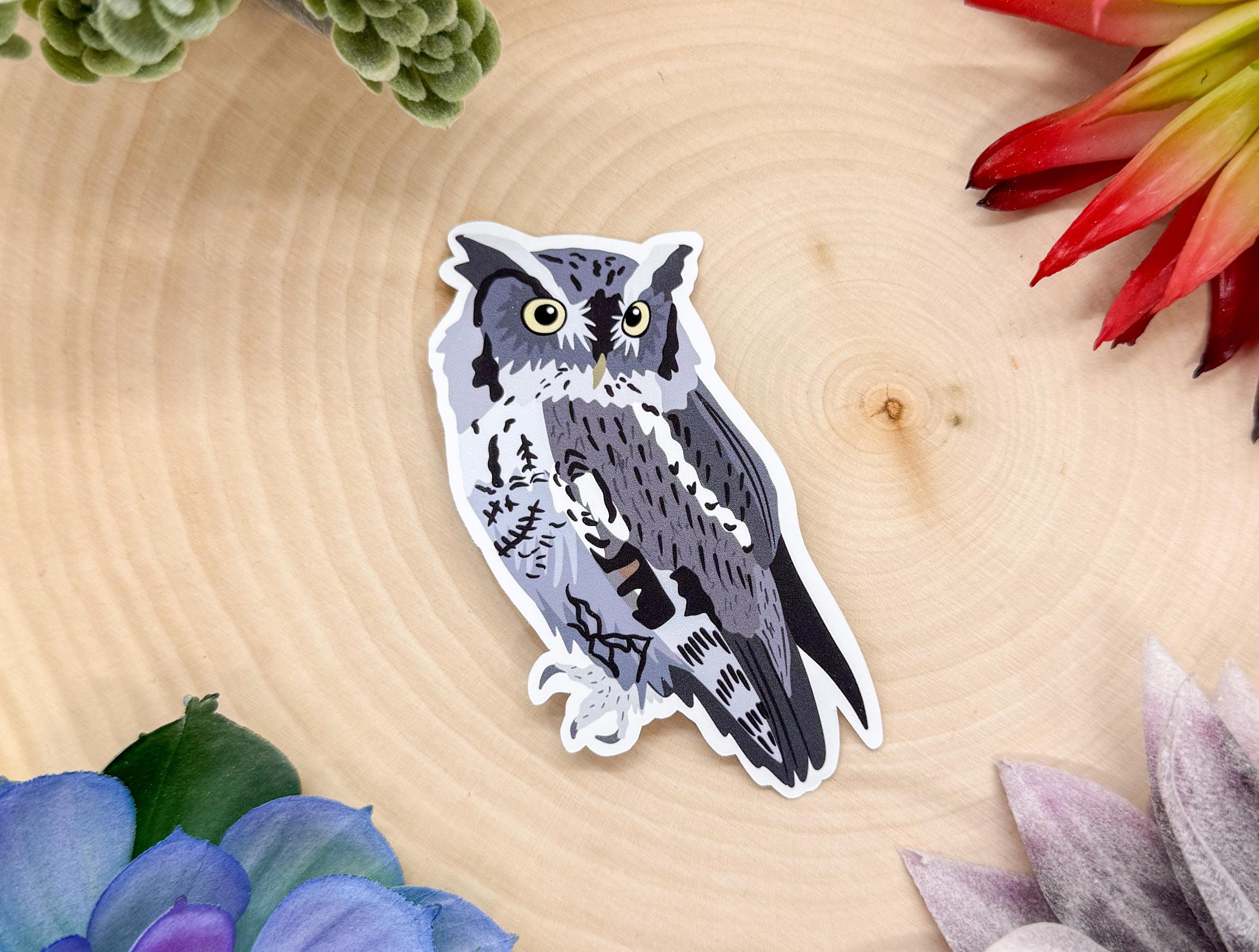 Eastern Screech Owl Sticker, Owl Sticker, Screech Owl Sticker, Owl Decal, Owl Gift, Bird Sticker, Bi