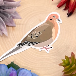 Mourning Dove Sticker, Mourning Dove Decal, Mourning Dove Gift, Mourning Dove Decor, Mourning Dove Bird, Mourning Dove