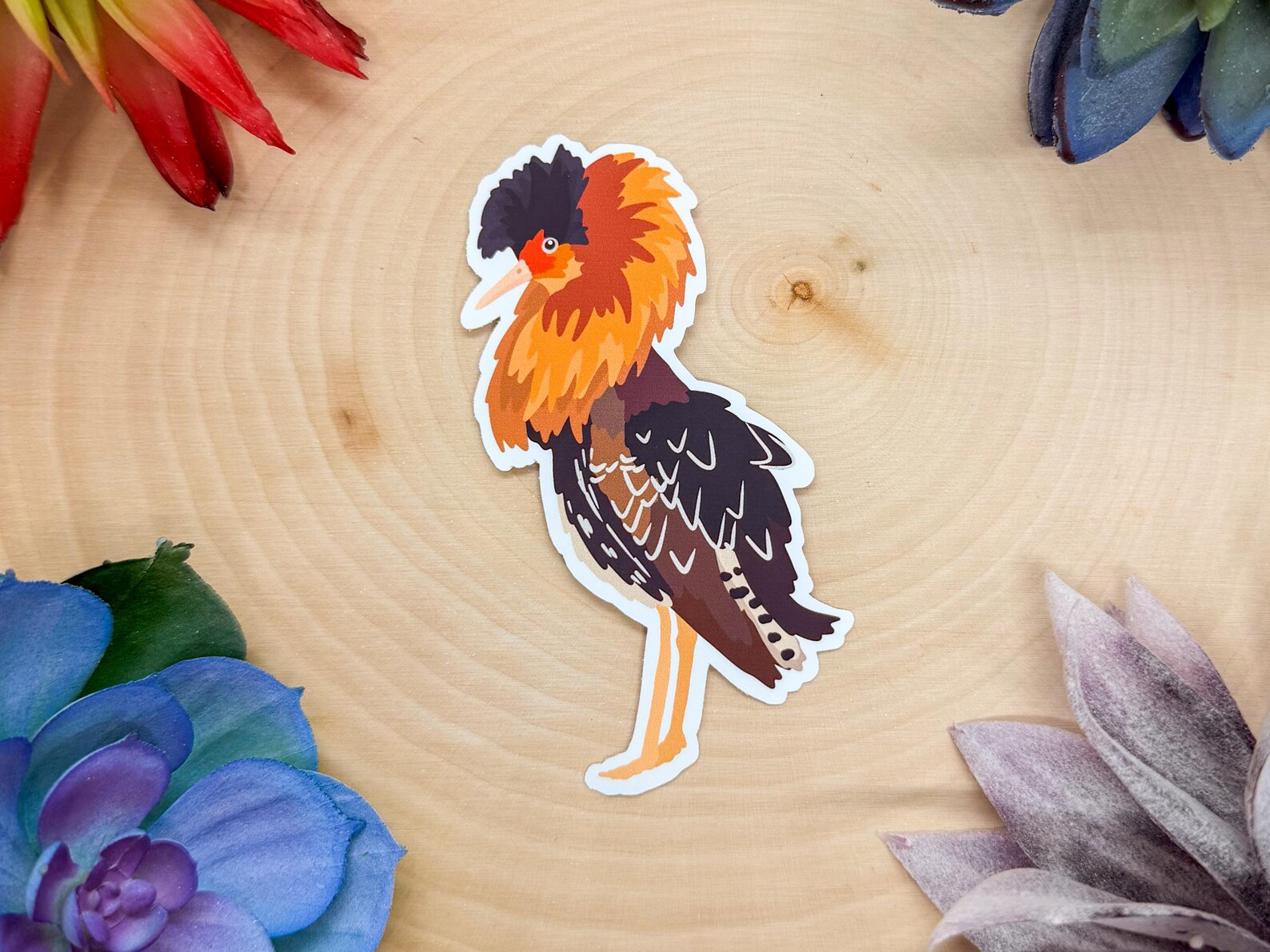 Reefruff Sticker Ruff Bird Sticker, Ruff Decal, Birdwatching Sticker, Bird Sticker, Bird ...