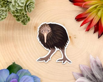 Kiwi Bird Sticker, Bird Sticker, Birdwatching Sticker, Birding Sticker, Kiwi Bird Gift, Kiwi Bird Decal, Kiwi Bird Decor, Kiwi Bird, Kiwi