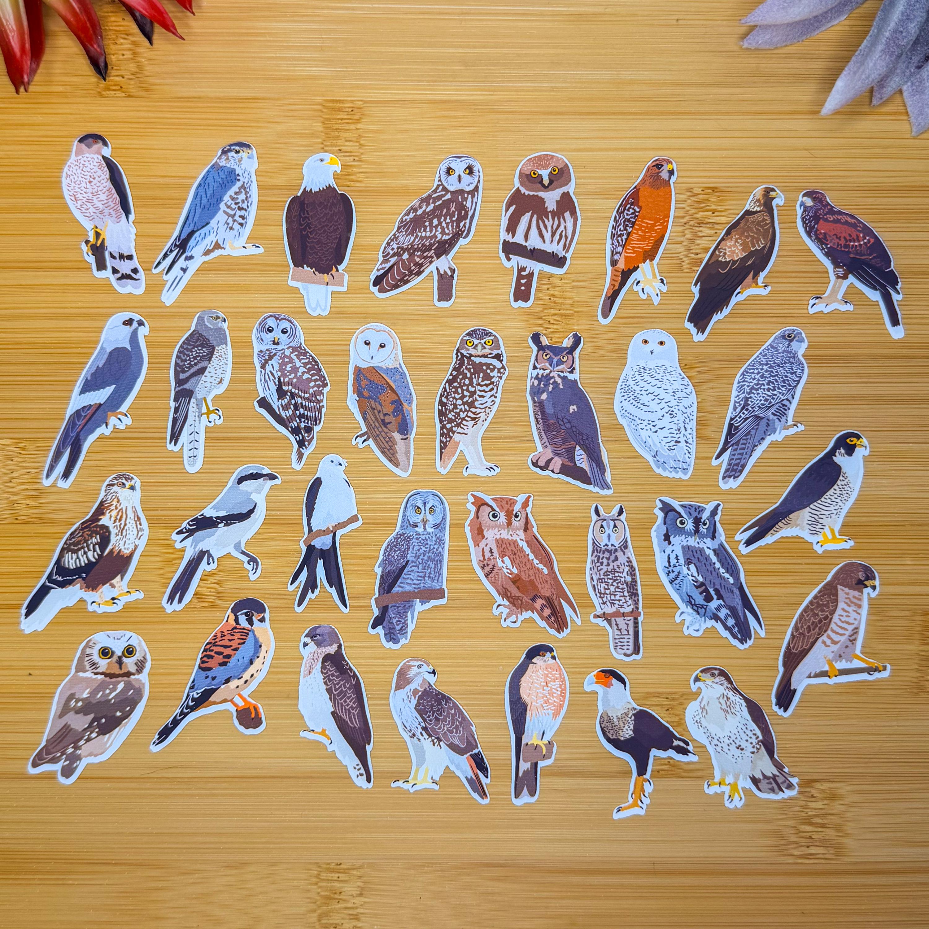 Birds of Prey Sticker Pack, Mini Bird Sticker Pack, Bird Journal ...