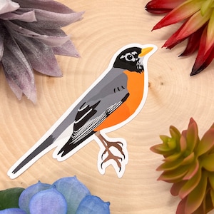 American Robin Sticker, American Robin Decal, American Robin Gift, American Robin Decor, American Robin Bird, American Robin, Robins Egg