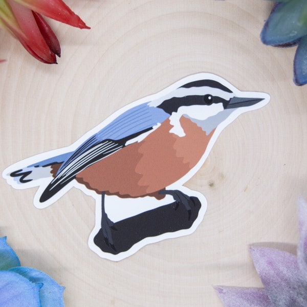 Red Breasted Nuthatch Sticker, Bird Sticker, Birdwatching Sticker, Birding Sticker, Nuthatch Sticker, Nuthatch Decal, Nuthatch Gift,