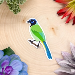 Green Jay Sticker, Bird Sticker, Birdwatching Sticker, Birding Sticker, Green Jay Gift, Green Jay Decal, Green Jay Decor, Green Jay Bird