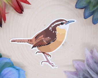 Carolina Wren Sticker, Bird Sticker, Birdwatching Sticker, Birding Sticker, Carolina Wren Decal, Wren Decal, Birder Sticker, Wren Sticker