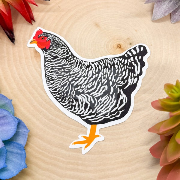 Plymouth Rock Chicken Sticker, Plymouth Rock Chicken Decal, Chicken Gift, Chicken Decor, Chicken Bird Sticker, Chicken Bird Decal,