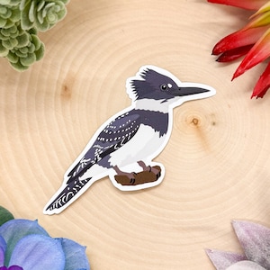 Belted Kingfisher Sticker, Bird Sticker, Birdwatching Sticker, Birding Sticker, Kingfisher Decal, Kingfisher Gift, Kingfisher Decor,