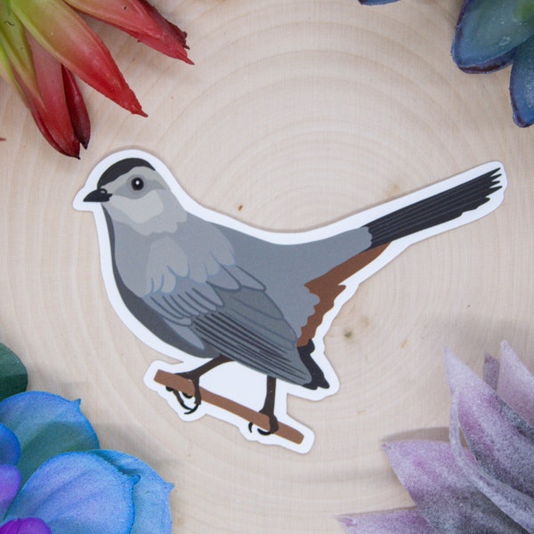 Gray Catbird Sticker, Catbird Sticker, Catbird Decal, Catbird Gift, Catbird Decor, Bird Sticker, Birdwatching Sticker, Birding Sticker,