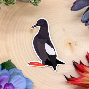Black Guillemot Sticker, Black Guillemot Decal, Black Guillemot Gift, Black Guillemot Decor, Black Guillemot Bird, Black Guillemot Europe