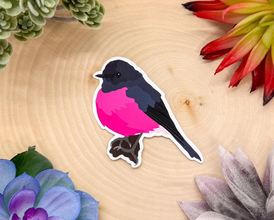 Pink Robin Sticker Pink Robin Sticker, Bird Sticker, Birdwatching Sticker, Birding Sticker ...