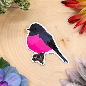 Pink Robin Sticker, Bird Sticker, Birdwatching Sticker, Birding Sticker, Pink Robin Decal, Pink Robin Gift, Pink Robin Bird, Pink Robin
