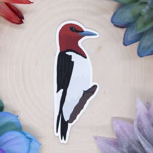 Red Headed Woodpecker Sticker, Bird Sticker, Birdwatching Sticker, Birding Sticker, Red Headed Woodpecker Decal, Woodpecker Decal,