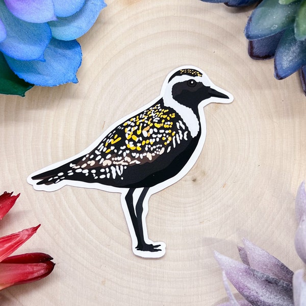 American Golden Plover Sticker, Bird Sticker, Birdwatching Sticker, Birding Sticker, Golden Plover Decal, Plover Sticker, Plover Lover