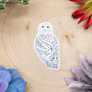 Snowy Owl Sticker, Bird Sticker, Birdwatching Sticker, Birding Sticker, Snowy Owl Decal, Snowy Owl Sticker, Hedwig Sticker, Hedwig Decal,