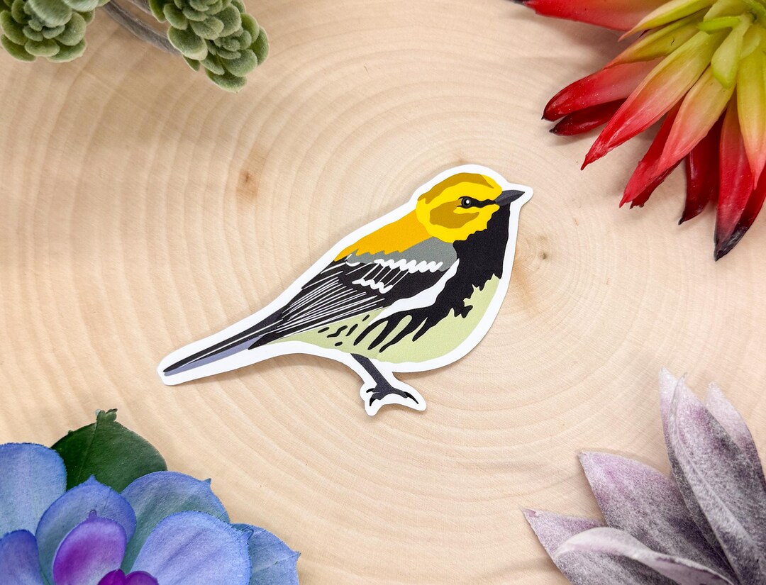 Black Throated Green Warbler Sticker, Warbler Decal, Warbler Sticker ...