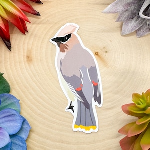 Cedar Waxwing Sticker, Bird Sticker, Birdwatching Sticker, Birding Sticker, Cedar Waxwing Decal, Waxwing Sticker, Waxwing Decal, Waxwing