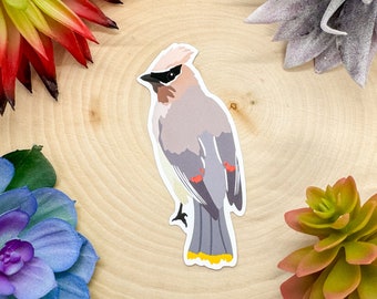 Sticker Jaseur cèdre, Sticker oiseau, Sticker observation des oiseaux, Sticker observation des oiseaux, Sticker jaseur cèdre, Sticker jaseur jaseur, Sticker jaseur jaseur, Sticker jaseur jaseur