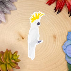 Sulphur Crested Cockatoo Sticker, Bird Sticker, Birdwatching Sticker, Birding Sticker, Cockatoo Decal, Cockatoo Decor, Cockatoo Gift,