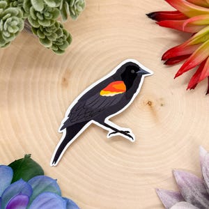 May include: A black and red bird sticker with a white outline. The bird is perched on a branch with its wings spread out.