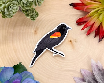 Puede incluir: Una pegatina de un pájaro negro y rojo con un contorno blanco. El pájaro está posado en una rama con las alas extendidas.