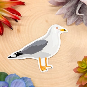 Ring Billed Gull Sticker, Seagull Decal, Seagull Gift, Gull Decor, Gull Bird Sticker, Gull Bird Decal, Gull Lover, Ring Billed Gull