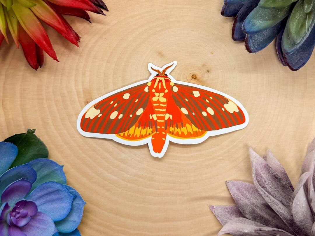 Regal Moth Sticker, Butterfly Sticker, Insect Sticker, Insect Decal ...