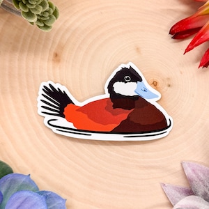 Ruddy Duck Sticker, Bird Sticker, Birdwatching Sticker, Birding Sticker, Ruddy Duck Gift, Ruddy Duck Decal, Duck Gift, Ruddy Duck Decor