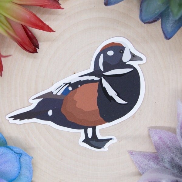 Harlequin Duck Sticker, Harlequin Duck Decal, Harlequin Duck Decor, Harlequin Duck Gift, Harlequin Duck Bird, Harlequin Duck Decor,