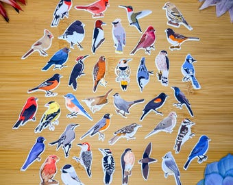 Midwest Backyard Birds Sticker Pack, Mini Bird Sticker Pack, Bird Journal Stickers, Bird Sticker Pack, Bird Journal,