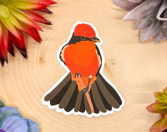 Peut inclure: Un autocollant représentant un oiseau rouge et noir avec une longue queue. L'oiseau est tourné vers la droite et a une crête rouge sur la tête.