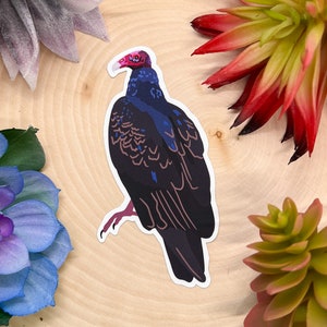 Geier Aufkleber, Vogelaufkleber, Vogelaufkleber, Vogelaufkleber, Geier Aufkleber, Truthahngeier-Aufkleber, Truthahngeier-Dekor,