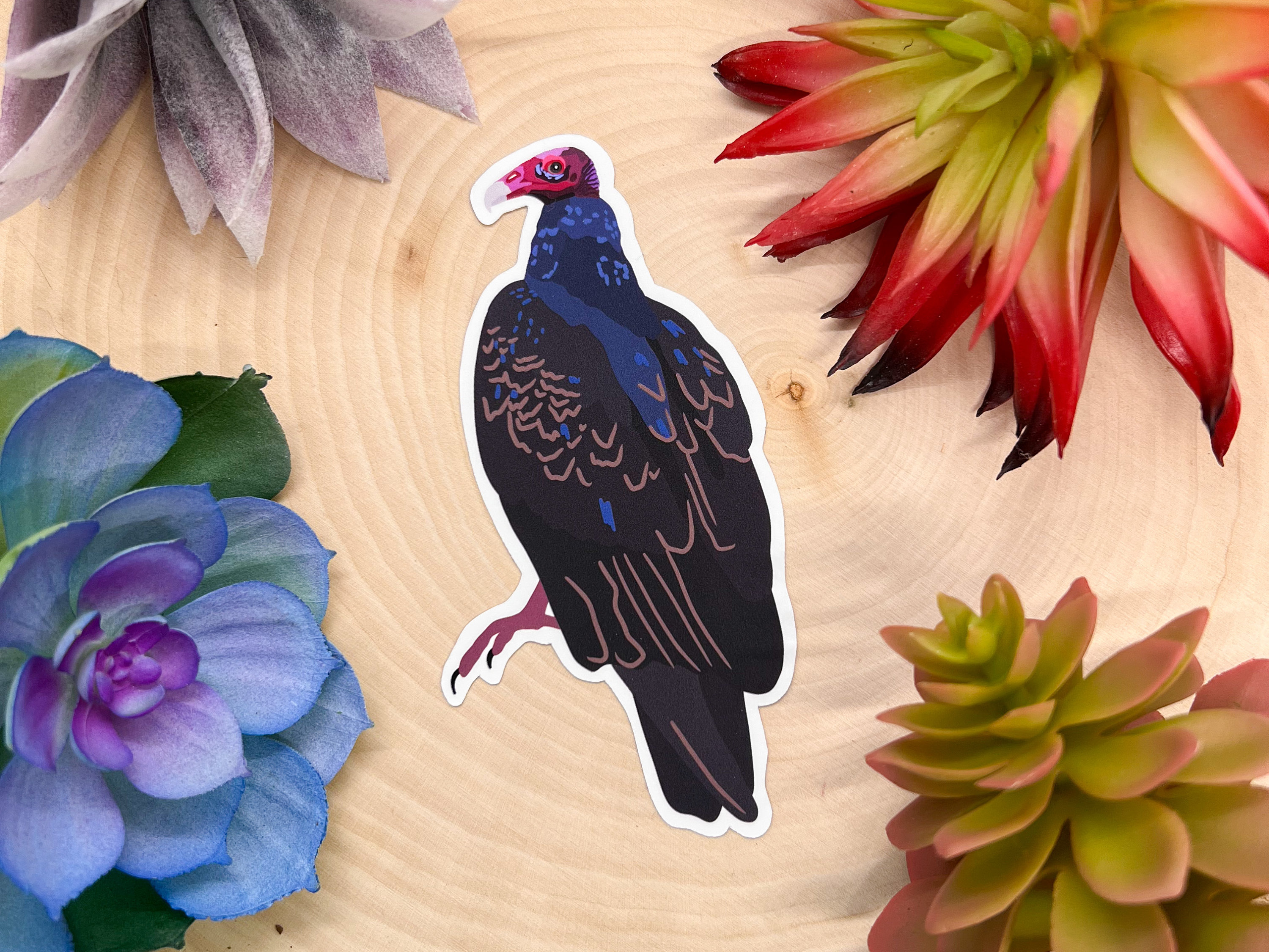 Turkey Vulture Sticker, Bird Sticker, Birdwatching Sticker, Birding Sticker, Vulture Sticker, Turkey Vulture Decal, Turkey Vulture Decor,