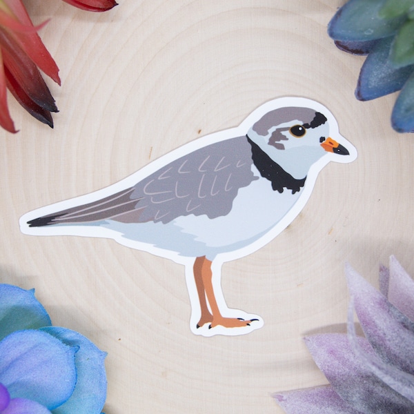 Piping Plover Sticker, Bird Sticker, Birdwatching Sticker, Birding Sticker, Piping Plover Decal, Plover Decor, Plover Sticker, Plover Art
