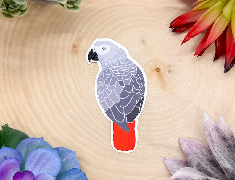 May include: A gray and red parrot sticker with a gray body and red tail feathers. The parrot is facing to the left and has a black beak.