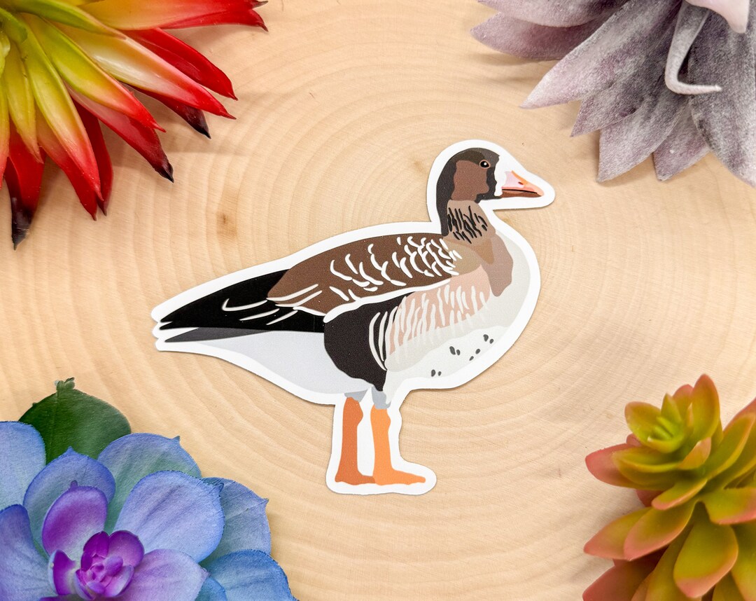Sticker Printable Goose Greater White Fronted Goose Sticker, White Fronted Goose Decal, Goose ...